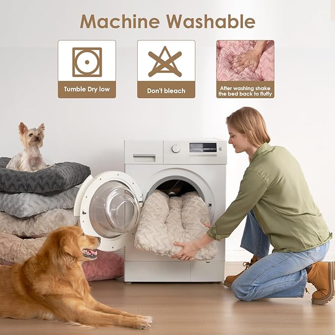 EHEYCIGA Washable Small Dog Bed for Crate 23x18 Inch, Reversible Kennel Pad for Puppy Weight Up to 25 lbs, Plush and Comfy Pet Sleeping Mat, Beige
