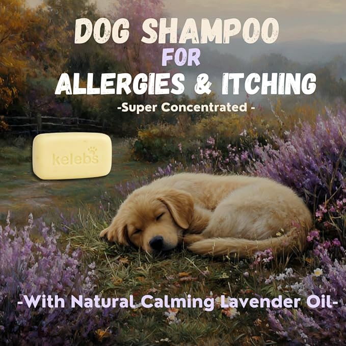 Kelebs Dog Shampoo | Allergies and itching | Dog Shampoo for Sensitive Skin | All Natural Dog Soap Bar with Lavender Oil & Oatmeal | Puppy Shampoo | No Plastic Vegan | 6PCS - Family Pack