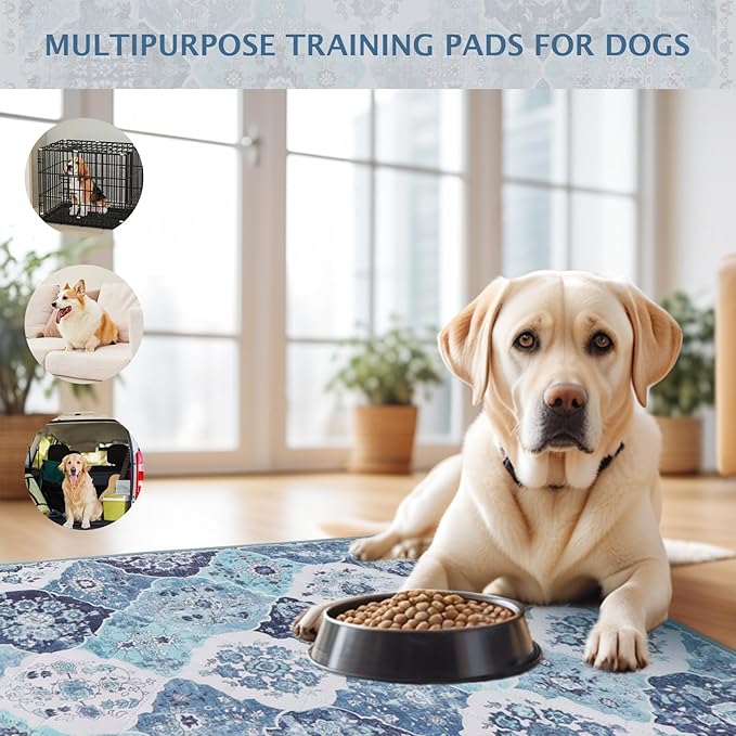 IEUUMLER Washable Pee Pads for Dogs, 1 Pack Reusable Pee Pads for Dogs Non-Slip Grip, Super Absorbent Waterproof Puppy Pads for Potty Training, Playpen, Crate, Whelping Box EU011 (Blue,48" x 48")