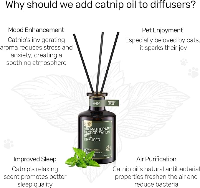 Reed Diffuser for Pet Odor Elimination, Osmanthus, Non-Toxic & Pet-Friendly Air Freshening, 6 Oz