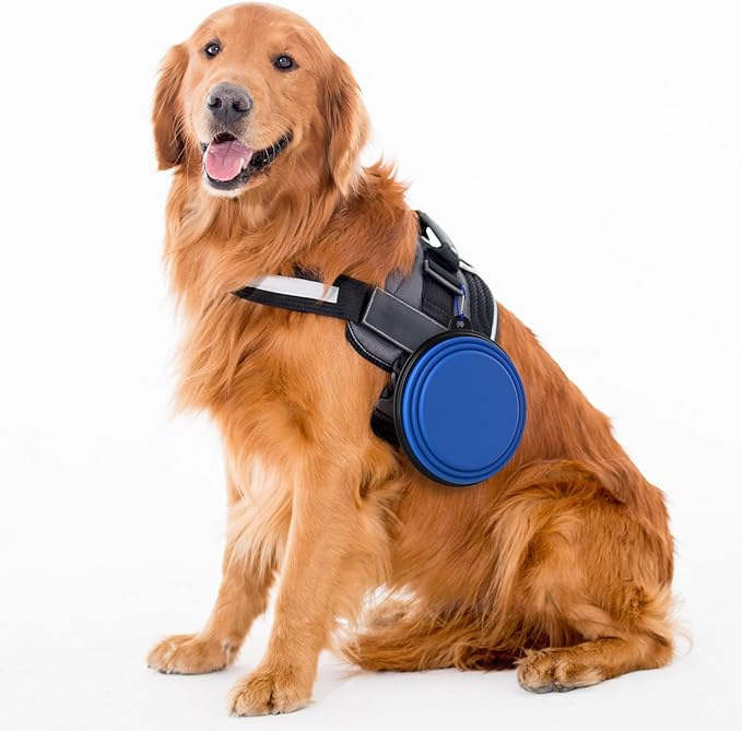 2 Pack Collapsible Dog Bowl Travel Portable Pet Bowls [34oz,1000ml],Expandable Foldable Food Water Feeding Dishes for Traveling Hiking Walking,with Carabiners [Green,Blue]