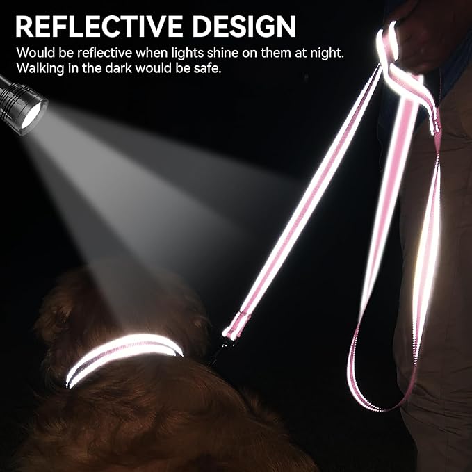 Joytale Dog Leash, 5 FT Double-Sided Reflective, Padded Handle Nylon Heavy Duty Leashes for Medium & Large Dogs Walking, Pink