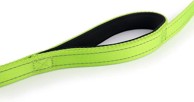 Primal Pet Gear Dog Leash 6ft Long,Traffic Padded Two Handle,Heavy Duty,Reflective Double Handles Lead for Control Safety Training,Leashes for Large Dogs or Medium Dogs,Dual Handles Leads(Green)