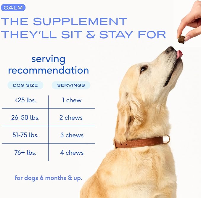 Native Pet Calming Chews for Dogs - Melatonin for Dogs Anxiety Relief - Grain Free All Natural Hemp Calming Treats & L-Theanine Helps Manage Stress & Separation Anxiety - Puppy Sleep Aid - 30 Chews