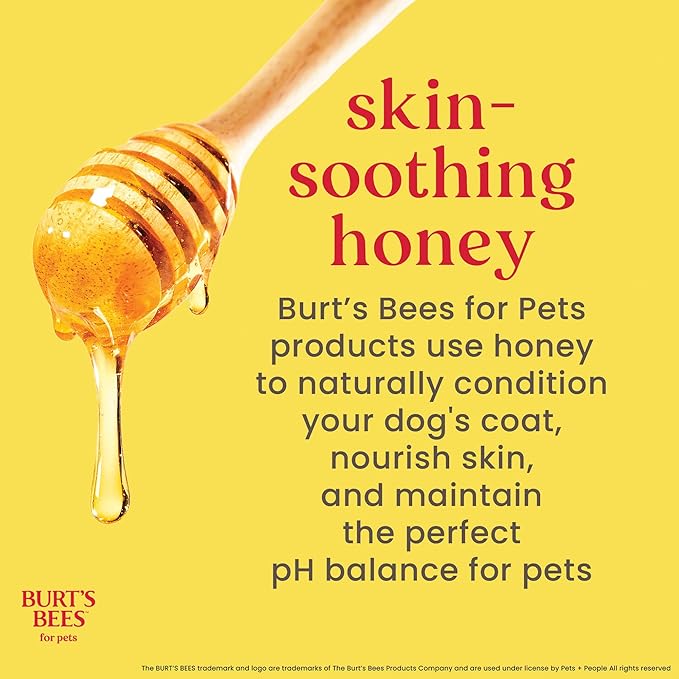 Burt’s Bees for Pets Dog Wipes for Daily Grooming with Witch Hazel - Deodorizing Wipes That Clean Paws and Face, 98% Natural Origin, Waterless Bath Formula, 100 Count