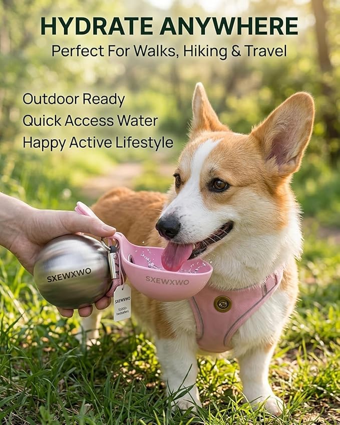 The 2-in-1 Dog Water Bottle & Bowl 2026 New Portable Trave Pet Dispenser Perros Silicone Water Ball Spill Proof Container Design on Walks Walking Hiking Insulated Round Botella Animal (Blue)