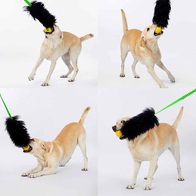 HOWGO Dog Rope Toy,Dog Bungee Chaser Toy 100% Sheepskin,Sheep Smell Tug Toy for All Breeds (Green, Short Without Ball)