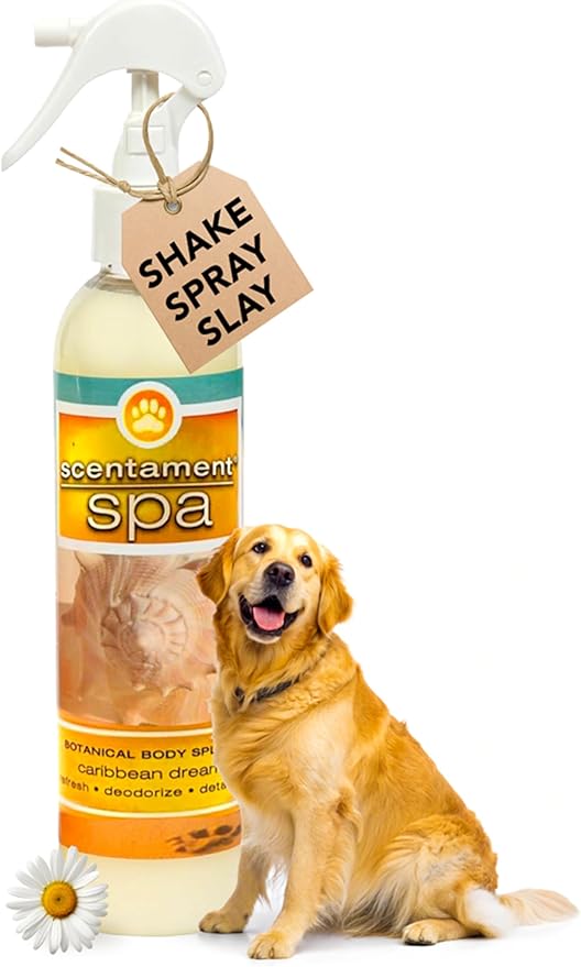 Best Shot Scentament Spa Botanical Body Splash, Pet Spray for Dogs & Cats, Conditioning Body Spray with Apricot Lily Scent, Gentle Grooming Finishing Mist, 8 fl oz