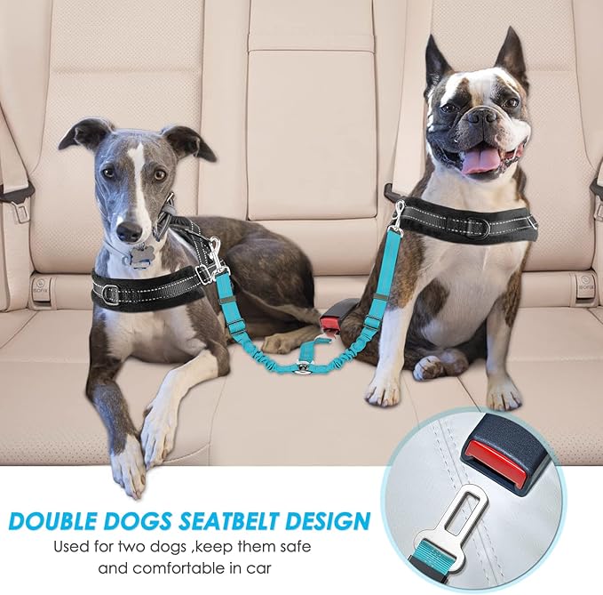 SlowTon Dog Seat Belt, Double Dog Seatbelt Adjustable Vehicle Safety Leash with Elastic Bungee Buffer, Reflective No Tangle Y Shape Two Dog Harness Seat Belt Splitter for Pets Car Trip (Mint Blue, M)