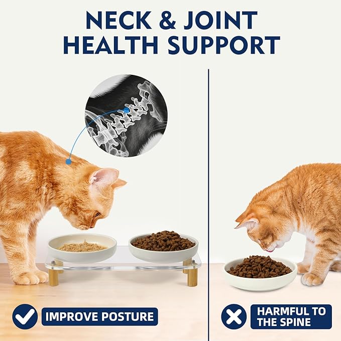 Elevated Cat Bowls for Indoor Cats – Modern Acrylic Cat Food Table with 2 Ceramic Dishes, Adjustable Height (4.05"/2.87"), Set of 1