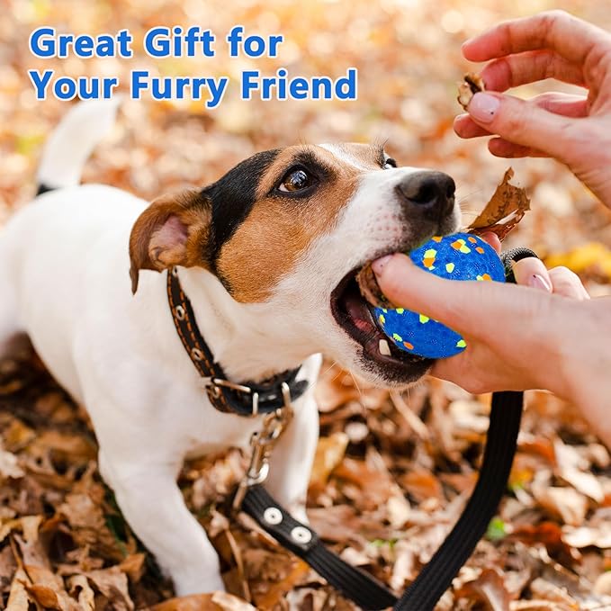 POUPUA 4-Pack Super Bouncy Dog Balls — Lightweight & Safe (Won’t Hurt Dogs), Indestructible Tennis Balls for Aggressive Chewers, Durable Floating Fetch Toys for Small & Medium Dogs