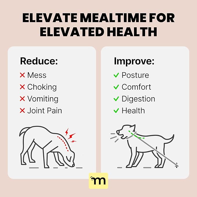 MalsiPree Elevated Dog Bowl Stand - Foldable Raised Feeding Station 6.5" - 2 Stainless Steel Bowls, Portable Non-Slip, Mess-Catching, Travel Pet Bowl Set - Dishwasher Safe, Medium & Large Breeds