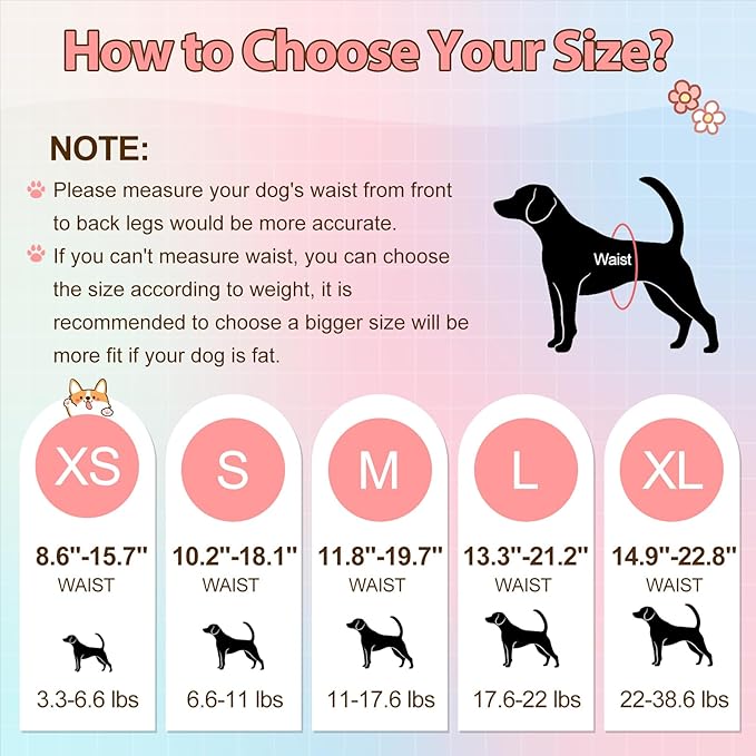 Ambreview Disposable Dog Diapers Female, Just Pull It Up, Doggie Diapers for Female Dogs, Strong Absorbency | Leak Proof, for Dogs in Heat | Elderly | Disabled, M 100 PCS