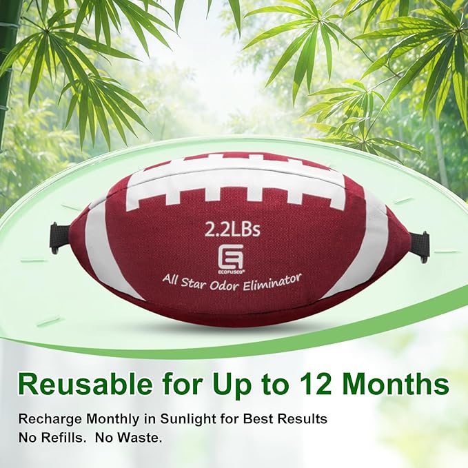 All-Star Odor Eliminator, Activated Charcoal Odor Absorber for Strong Odors in Car, Basement, Closet, 2.2 LB (1000 G) Extra Large Size for Small to Medium Spaces, Baking Soda Odor Absorber Deodorizer