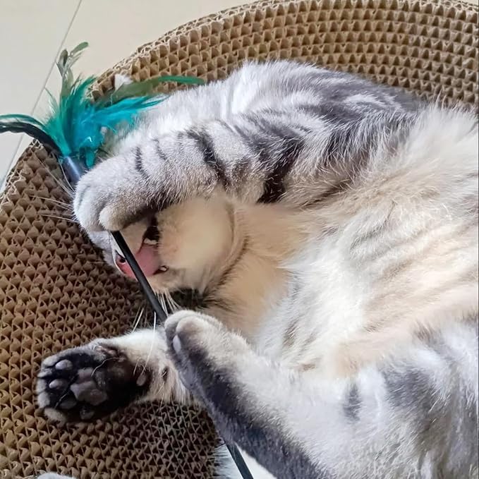 4 PCS Interactive Cat Teaser Wand - 20" Long Wand with Loud Bell for Cat and Kitten