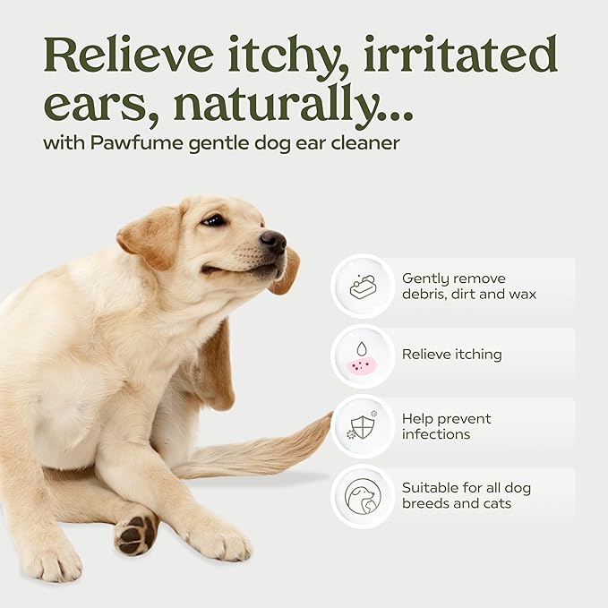 Pawfume Dog Ear Cleaner Solution, 4-Pack – Soothe Itchy Ears Instantly – With St. John’s Wort & Almond Extracts, Vet-Certified Formula, Alcohol-Free & Sulfate-Free – Dog Ear Wash For All Breeds