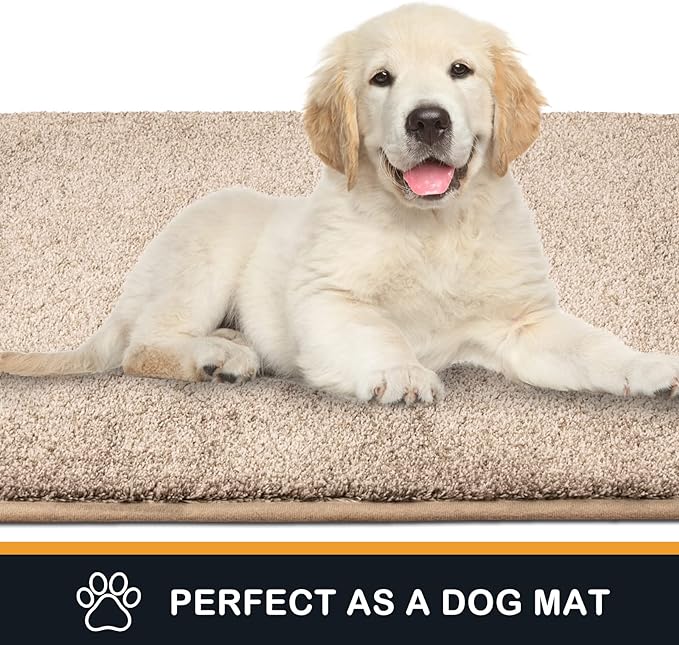 PURRUGS Dirt Trapping Door Mat 20" x 31.5", Non-Slip Machine Washable Entryway Rug, Dog Doormat, Indoor Front Door Mat, Super Absorbent Entry Rug for Muddy Shoes & Paws, Taupe