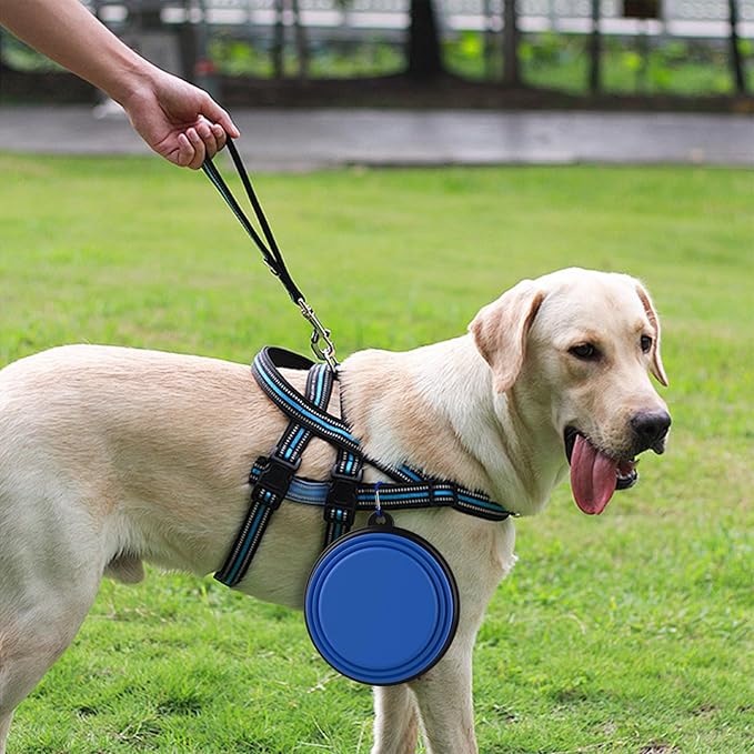 2 Pack Collapsible Dog Bowl Travel Portable Pet Bowls [34oz,1000ml],Expandable Foldable Food Water Feeding Dishes for Traveling Hiking Walking,with Carabiners [Green,Blue]