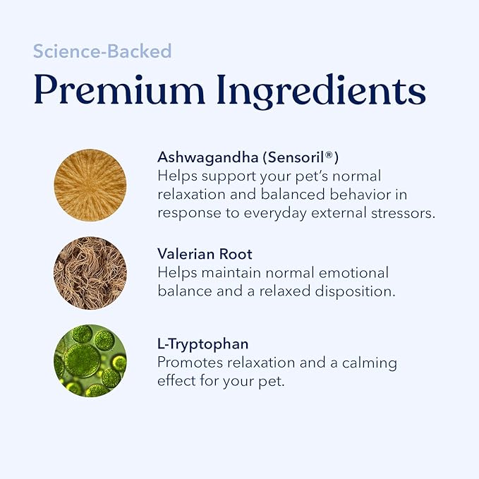 Honest Paws Calming Peanut Butter for Dogs – Dog Supplement with Ashwagandha, Valerian Root & L-Tryptophan – Supports Relaxation & Balanced Behavior – Made in USA – 12 oz