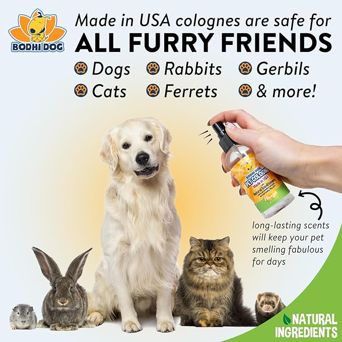 Bodhi Dog Premium Dog Cologne - Deodorizing Dog Perfume & Conditioner for Dogs & Cats - Natural Long Lasting Spray - Keeps Pets Fresh All Day - Gentle & Safe Formula, Made in USA (Mango 4 Fl Oz)