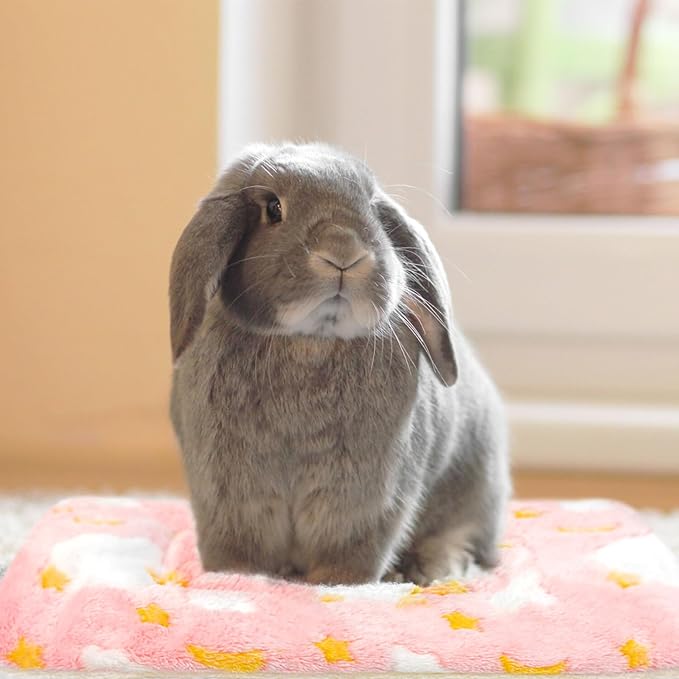 Tierecare 5PCS Guinea Pig Bed Soft Rabbit Bedding Cage Liner Warm Bunny Mats Pee Pads Fleece Blanket Plush Hamster Sleep Beds Ferret Squirrel Hedgehog Rat