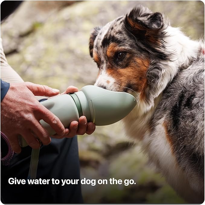 SÄKER Portable Dog Water Bottle, Collapsible Water Bottle for Dogs Perfect for Walking, Hiking and Outdoors | Works as a Portable Water Bowl | Designed in Montreal - 750ml