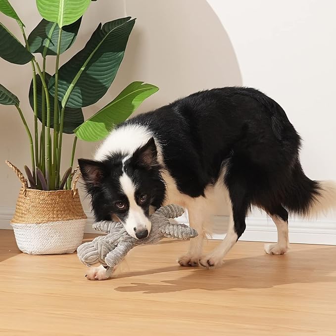 Dog Toy, Unstuffed Plush Toy for Large Breed, Cute Squeaky Dog Toys with Crinkle Paper, Big Puppy Chew Toys for Small, Middle, Large Breed