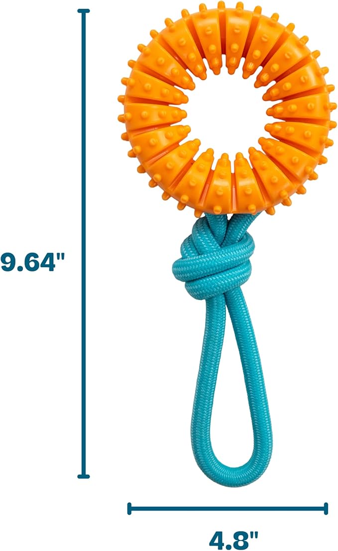 Dental Chew Wheel Dog Toy – Ring & Rope Tug, Multi-Textured, Soft on Teeth, Moderate Chewers, Mint Scented, 9"