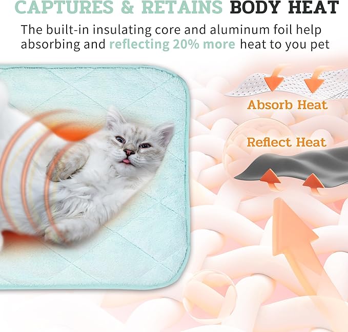 NWK Fluffy Self Warming Cat Mat, Cat Blanket, Thermal Dog Mat, Washable, Non-Slip Bottom for Sofa & Crate & Kennel & Car Seat (Mint Green, Large (35'' X 23'' X 0.4''))