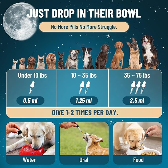 Liquid Melatonin for Dogs, Dog Melatonin with L-Theanine for Small Medium Large Dog Sleep Aid, Stress & Anxiety Relief, Calm Aid for Dogs Puppies, Support Relaxation & Deep Sleep, 60ml