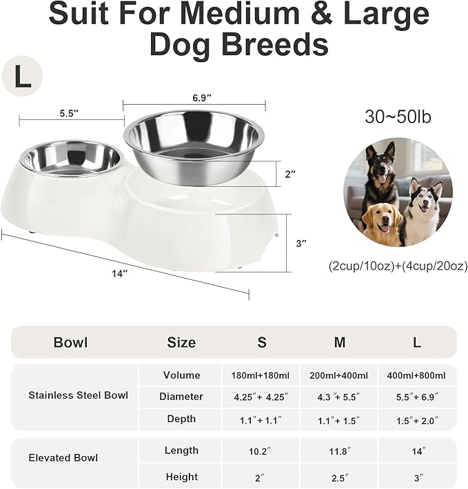 PetVillage Elevated Dog Bowls Set - Non-Slip Raised Pet Feeder with Medium (10 oz) & Large (20 oz) Stainless Steel Bowls - Includes Durable Resin Stand for Corgi Puppies and Adult Cats - White