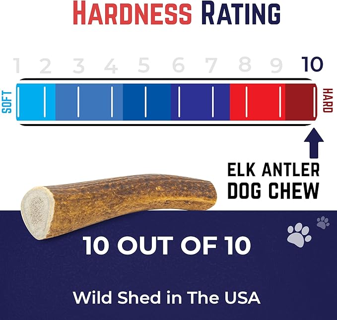 Devil Dog Pet Co. Elk Antlers for Dogs, Extra Large 7"+, 1 Pack, Grade A Long Lasting Chew for Aggressive Chewers, Premium USA Naturally Shed Antler – Healthy, No Odor, Durable Dog Chew
