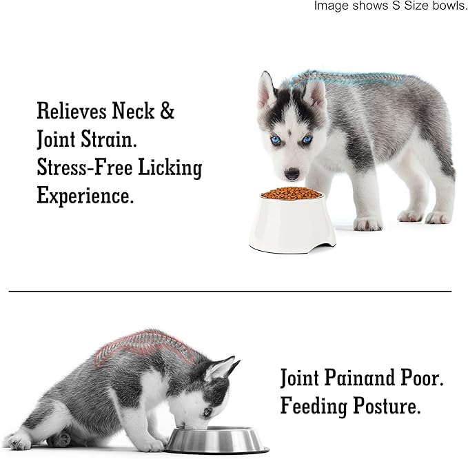 Dog Bowls,Cone Friendly Non Slip Single Dog Bowl with Stainless Steel Inner, Raised Bowls for Small Dogs Spaniel Dogs Long Ear, High Capacity, S/1 Cup White