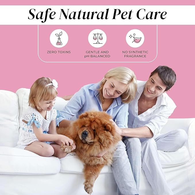 Dog Paw Cleaner - Alcohol Free Paw Cleansing Spray - Made with Coconut, Aloe, Copaiba Oil, and Lemongrass Oil to Nourish and Clean Paws - Made in The USA (Rosewater 2 Oz)