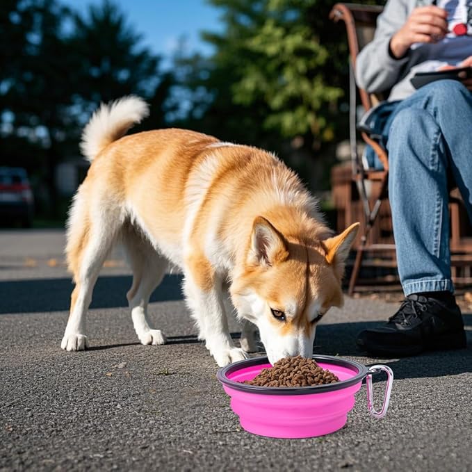 Dog Bowl Pet Collapsible Bowls, 2 Pack Collapsible Dog Water Bowls for Cats Dogs, Portable Pet Feeding Watering Dish for Walking Parking Traveling with 2 Carabiners (Black+Pink, Medium)
