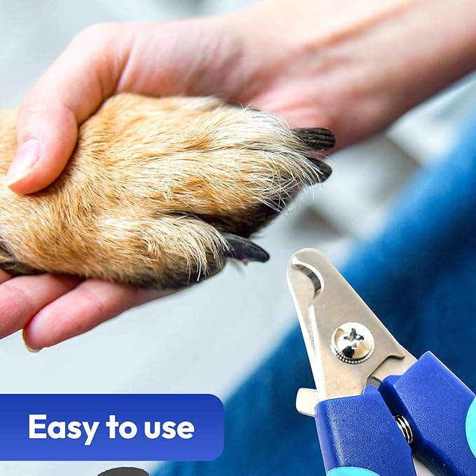 Brooklyn Pet Gear BPG Pet Grooming Tools for Dogs & Cats- 3 Piece Dog Grooming Kit, Pet Nail Care Kit, Nail Grinder, Clippers and File- Precision Trimming Perfect at Home Grooming Set