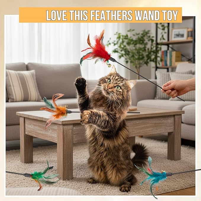 Leitee 50 Pcs Cat Wand Toy Feather Stick Cat Toy Feather Toys and Teaser Wand Bulk Interactive Stick for Indoor