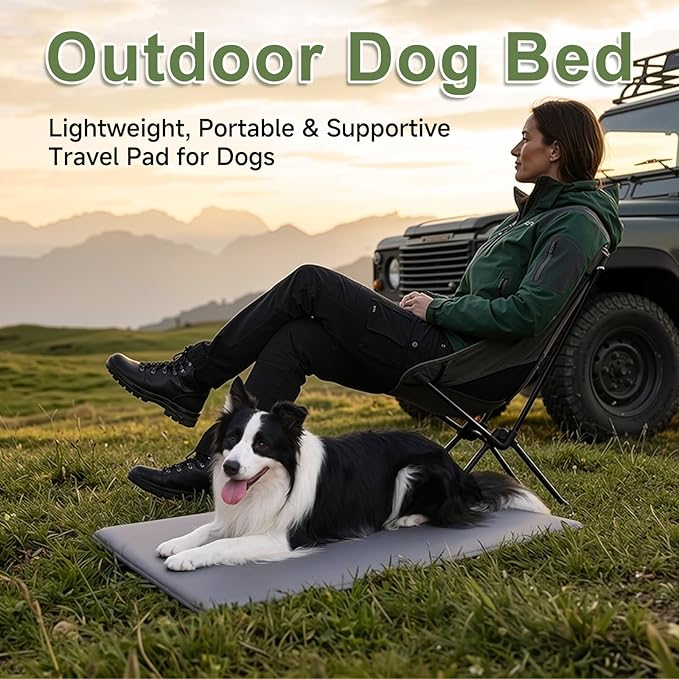 Outdoor Waterproof Dog Crate Pad, Medium Crate Mat Bed, Wipeable Kennel Mat Beds Dog Sleeping for Small Medium Pets, Waterproof, Wipeable, Anti-Slip, Kennel Pads 29 x 18 Inch, Dark Gray