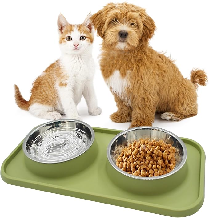 MUYG Double Dog Food Bowls Stainless Steel with No Spill Non Skid Silicone Mat Removable Dog Water and Food Bowls Set Durable Feeding for Small Dogs Puppy Cat Kitten(Green)