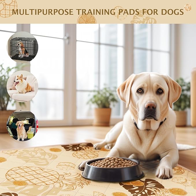 IEUUMLER Washable Pee Pads for Dogs, 2 Pack Non-Slip & Waterproof Pack Whelping Pad, Reusable Washable Puppy Potty Training Pad with Fast Absorbent for Playpen EU007 (Yellow Pineapple, 36"X24"-2pcs)