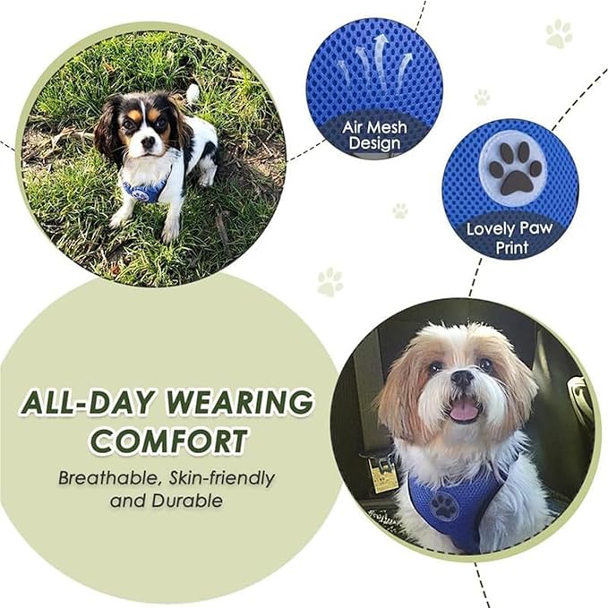 Lukovee Dog Seat Belt for Car, Adjustable Dog Car Harness for Large Medium Small Dogs, Soft Padded & Breathable Mesh Dog Seatbelt with Car Vehicle Connector Strap (Blue Double Clip,Small)
