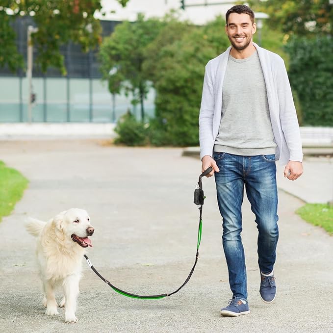 Dog Poop Bag Holder with Dispenser & Storage Pouch - Includes Adjustable Reflective Dog Leash (6FT Bungee, Padded Handles) - Durable Leash for Walking, Training & Travel (Teal)