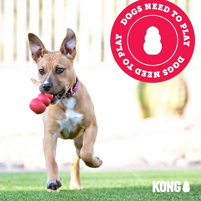 KONG Puppy Goodie Bone with Rope - Natural Rubber Bone with Cotton Rope - Teeth Cleaning Chew Toy for Growing Puppies - for XS Puppies - Pink
