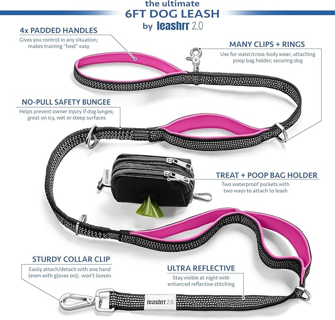 Dog Poop Bag Holder with Dispenser & Storage Pouch - Includes Adjustable Reflective Dog Leash (6FT Bungee, Padded Handles) - Durable Leash for Walking, Training & Travel (Teal)