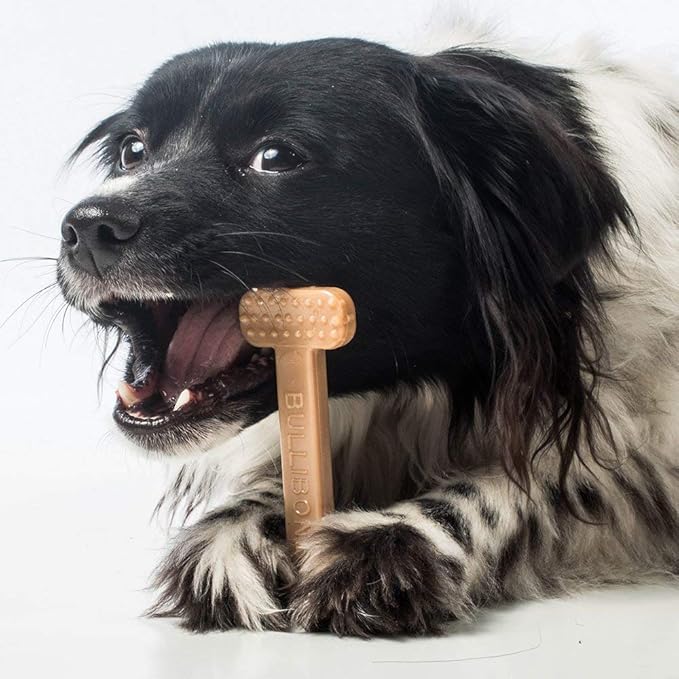 Bullibone Nylon Dog Chew Toy Nylon Bone - Improves Dental Hygiene, Easy to Grip Bottom, and Permeated with Flavor (Peanut Butter, Small - 3 Pack)