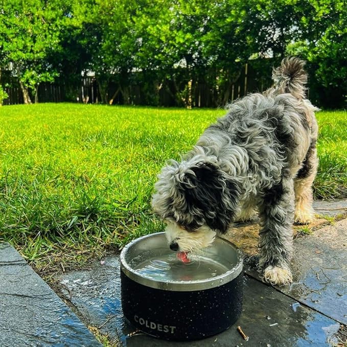 Coldest Dog Bowl - Anti Rust Metal, Non Slip, 3 Layers Insulated Stainless Steel Dog Bowls - Spill Proof & Heavy Duty - Water Bowl for Dogs, Cats & Pets, Dish Washer Safe (200 oz, Solar Yellow)