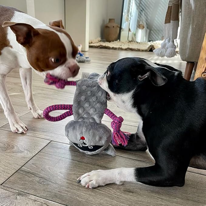 rocket & rex Dog Chew Toy Set for Small to Medium Breeds, Includes a Stuffing Free Rope, Rubber Squeaker and Plush Toy, Reduces Destructive Chewing & Anxiety (Pack of 3)