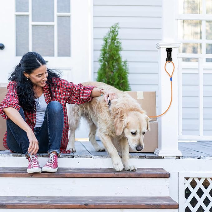 Lifeswell Dog Leash Holder for Wall, Heavy Duty Hook for Lead Management, Easy to Install, Fully Welded Hook for Indoor & Outdoor Use, Black