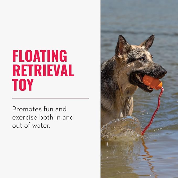 KONG Aqua Floating Fetch Toy - Dog Floating Toy for Water Retrieval, Play, Exercise & More - Natural Rubber Dog Toy with Foam Interior & Rope for Farther Throwing - Orange, for Medium Dogs