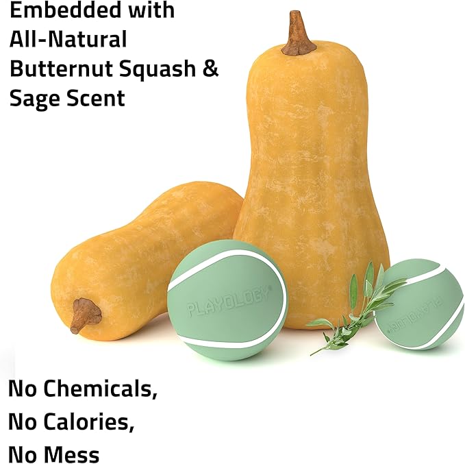 Playology Dog Toys | Squeaky Chew Ball - Bouncy Durable Floating Fetch Ball for Dogs | Medium Butternut Squash & Sage Limited Edition Fall Scented Toy - Easy to Clean and Made from Non Toxic Materials